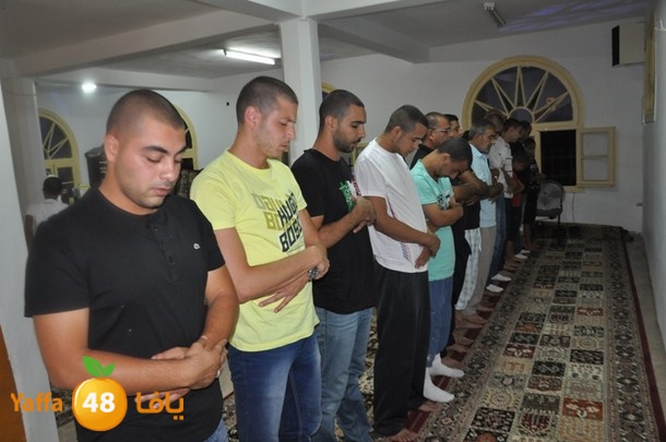 tarawe7 nozhas j (17).JPG